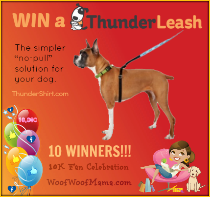 Win a ThunderLeash for Your Dog! 10 Winners