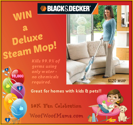 Win a Deluxe Steam Mop for fast, chemical free cleaning!