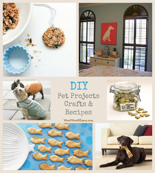 diy pet projects, crafts and recipes