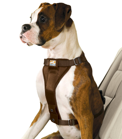 dog safety harness for truck or car