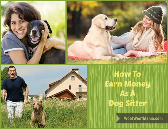 how to become a dog sitter