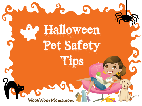 Halloween pet safety tips
