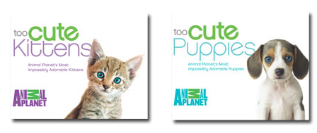 too cute puppies and kittens books