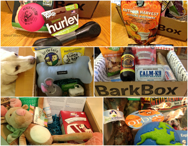 barkbox past mystery boxes for dogs