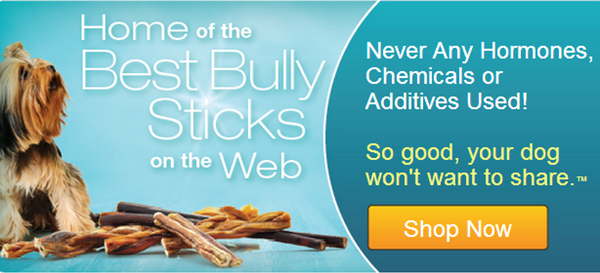 Best Bully Sticks black friday sale