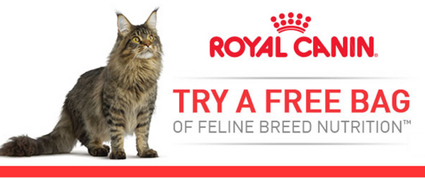 free royal canin cat food