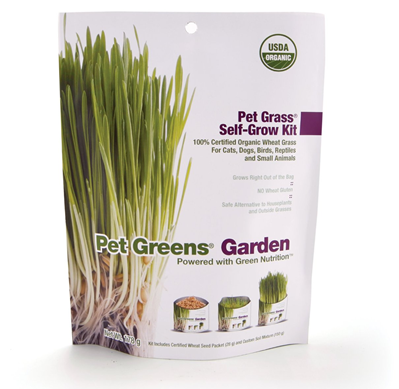 self grow pet grass
