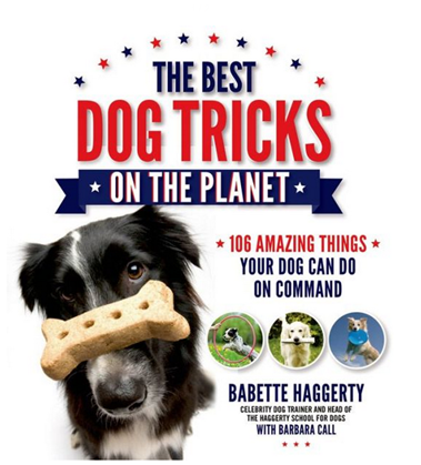 best dog tricks book