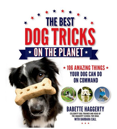 Win a copy of The Best Dog Tricks On The Planet book!