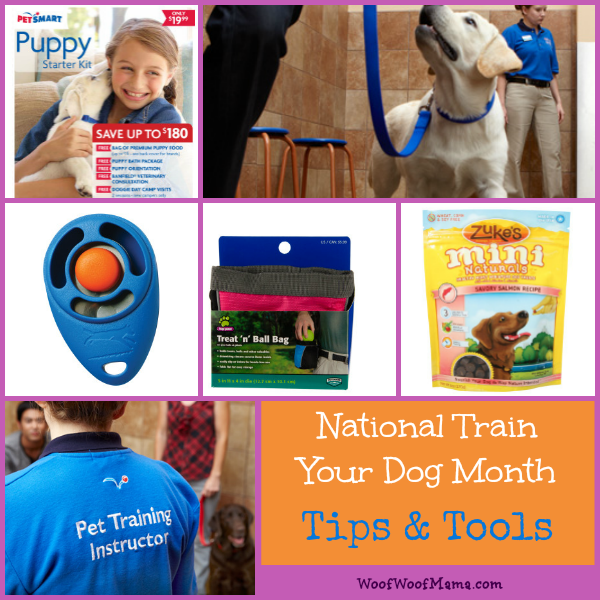 National Train Your Dog Month Tips and Tools