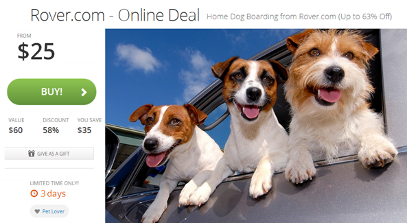 rover groupon winter deal