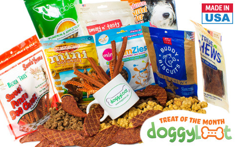 Treat of the month club for dogs