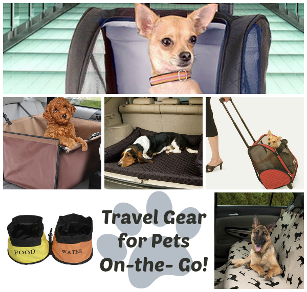 travel gear for pets