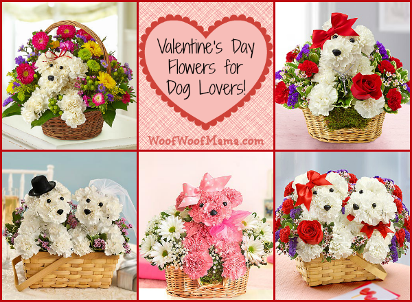 Valentine's Day Flowers for Dog Lovers