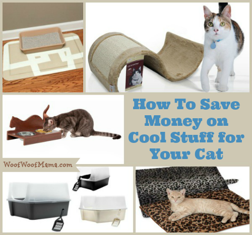 How to Save Money on Cat Supplies
