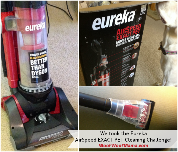 eureka pet cleaning