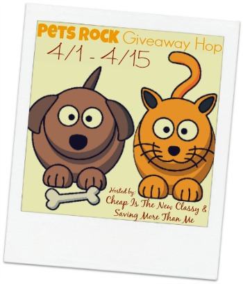 Pets Rock Giveaway