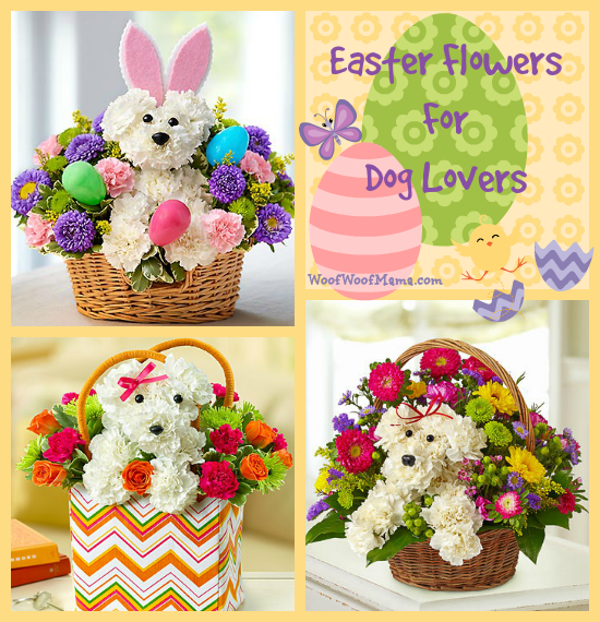 easter flowers dog lovers