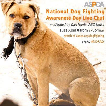 help end dog fighting