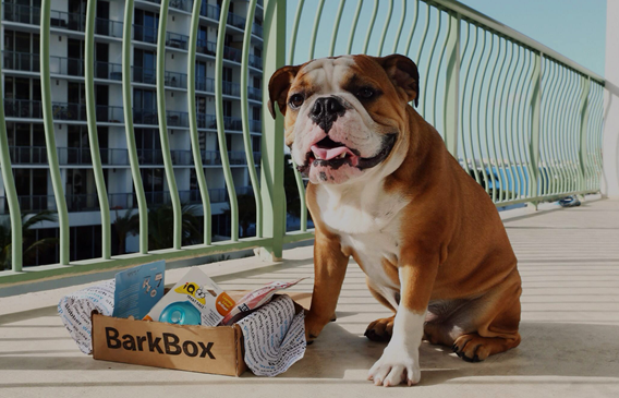 New BarkBox promo code for 10% off