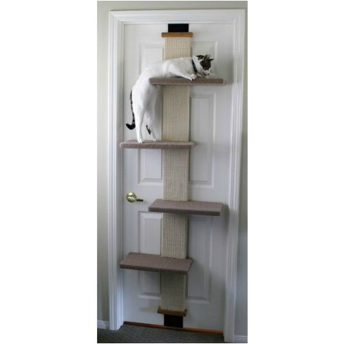 cat climber