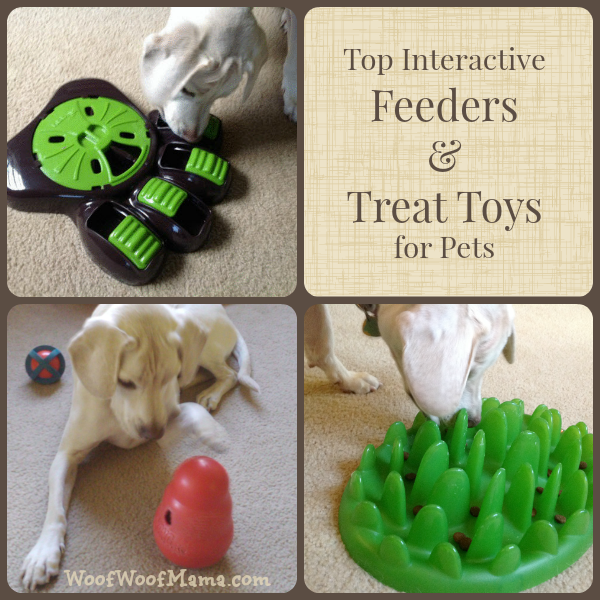 interactive treat toys and dog feeders