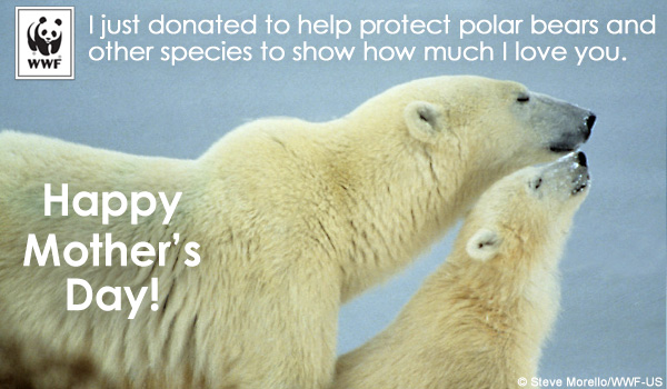 Donate to WWF for Mother's Day