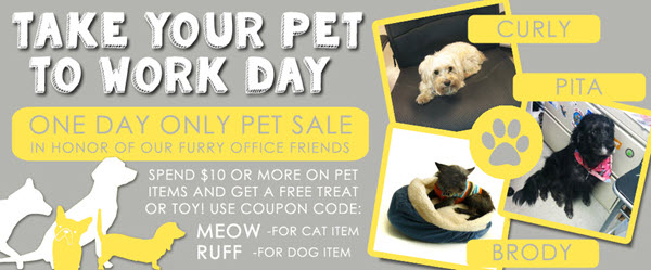 pet to work day sale