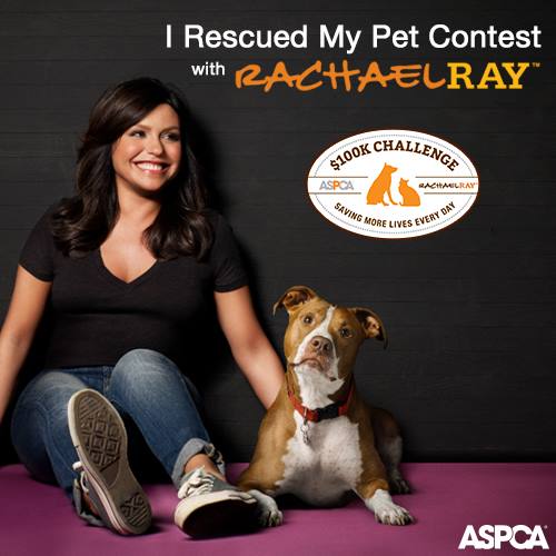 Rachael Ray and her rescue dog