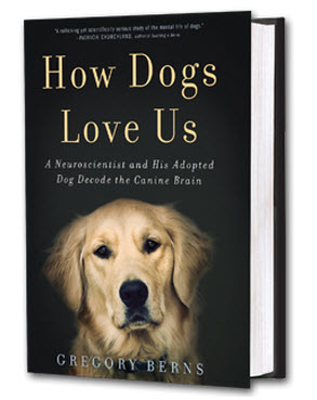 How Dogs Love Us book