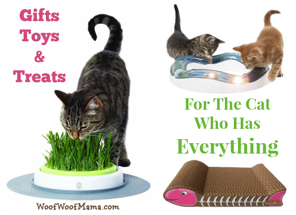 spoiled cat gifts