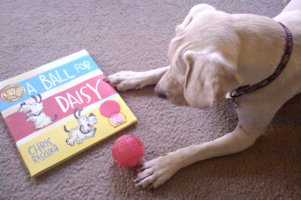 A Ball for Daisy book