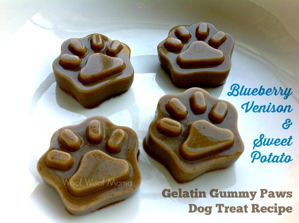 gelatin dog treats