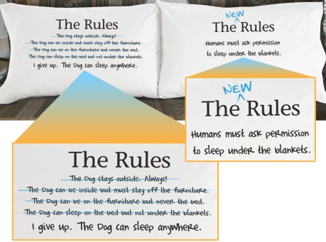 the rules pillowcase