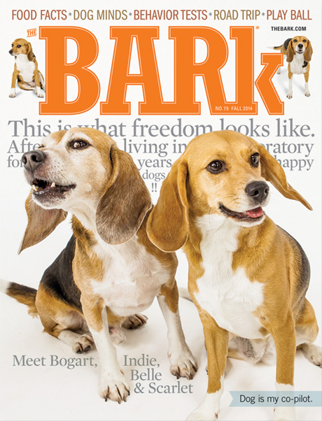 The Bark magazine subscription deal