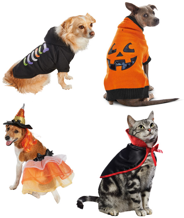 Halloween costumes for pets