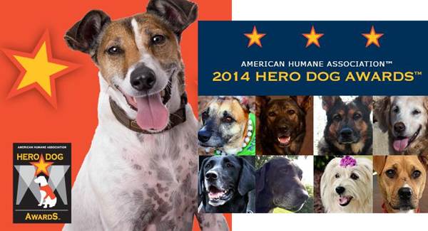 hero dog awards 2014