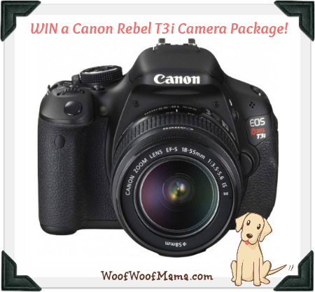 Canon Rebel Giveaway