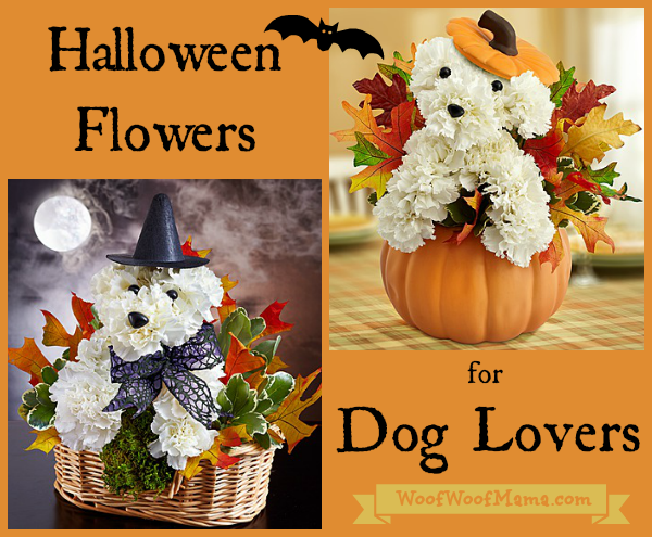 halloween flowers dog lovers