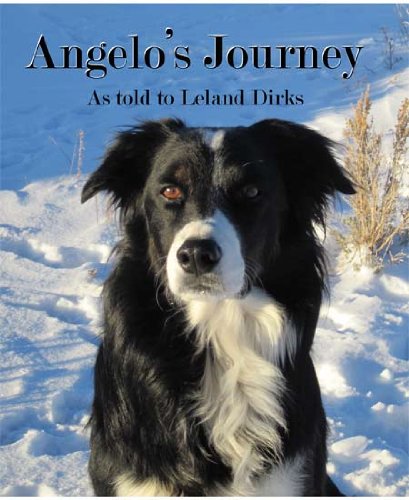 Angelo's journey