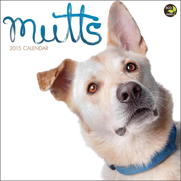 mutts calendar