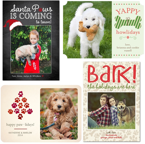 pet holiday cards