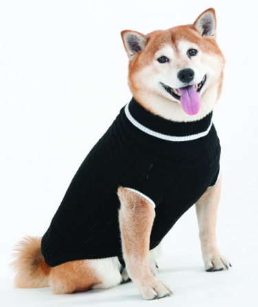 black dog sweater