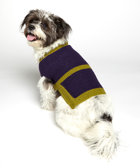 cute diy dog sweater