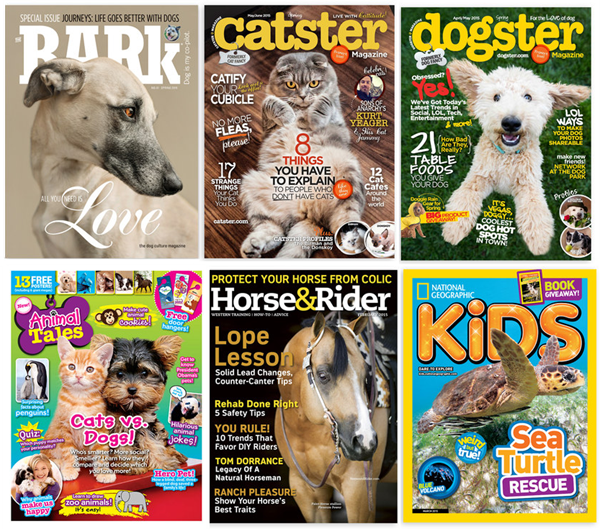 dog cat magazines