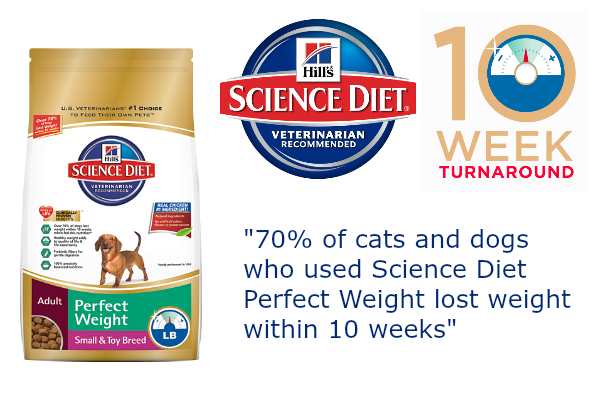 10 week weight loss pets