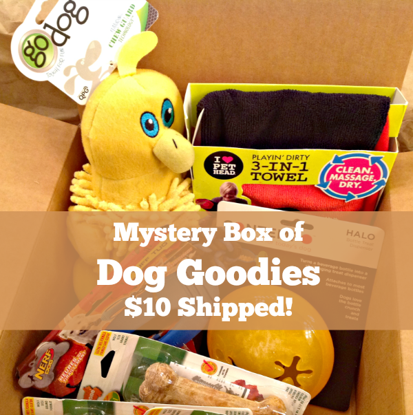 deal on dog mystery box