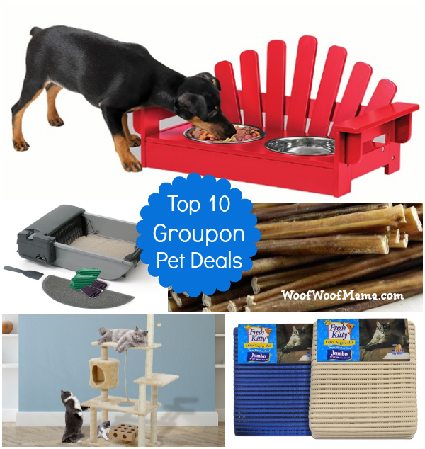 10 groupon pet deals