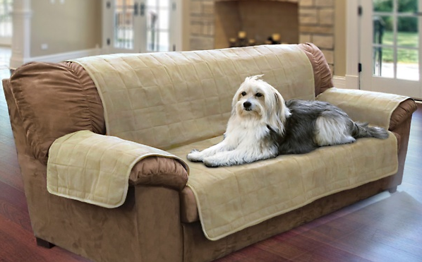 pet sofa protect