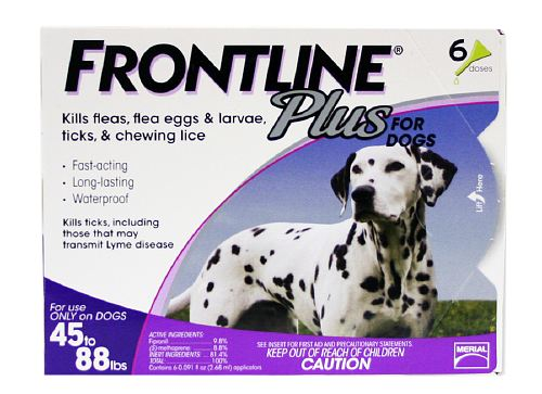 6 count frontline plus dogs